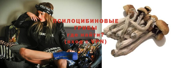 мяу мяу мука Белокуриха