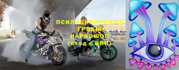 ГАЛЛЮЦИНОГЕННЫЕ ГРИБЫ Белоозёрский