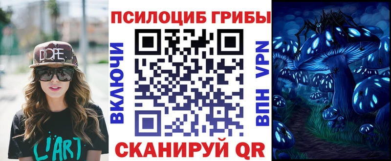 Купить  Ленинск  Галлюциногенные грибы MAGIC MUSHROOMS 